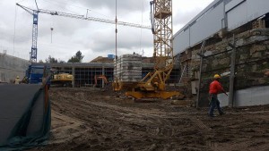 13020102_1145898585451659_1023822947_n